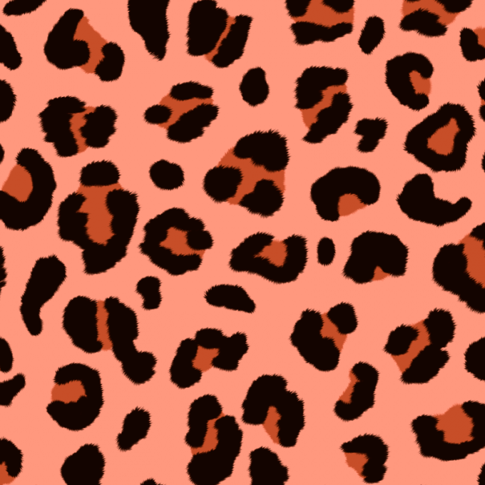 leopard pattern caspar