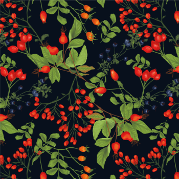 autumn berries
