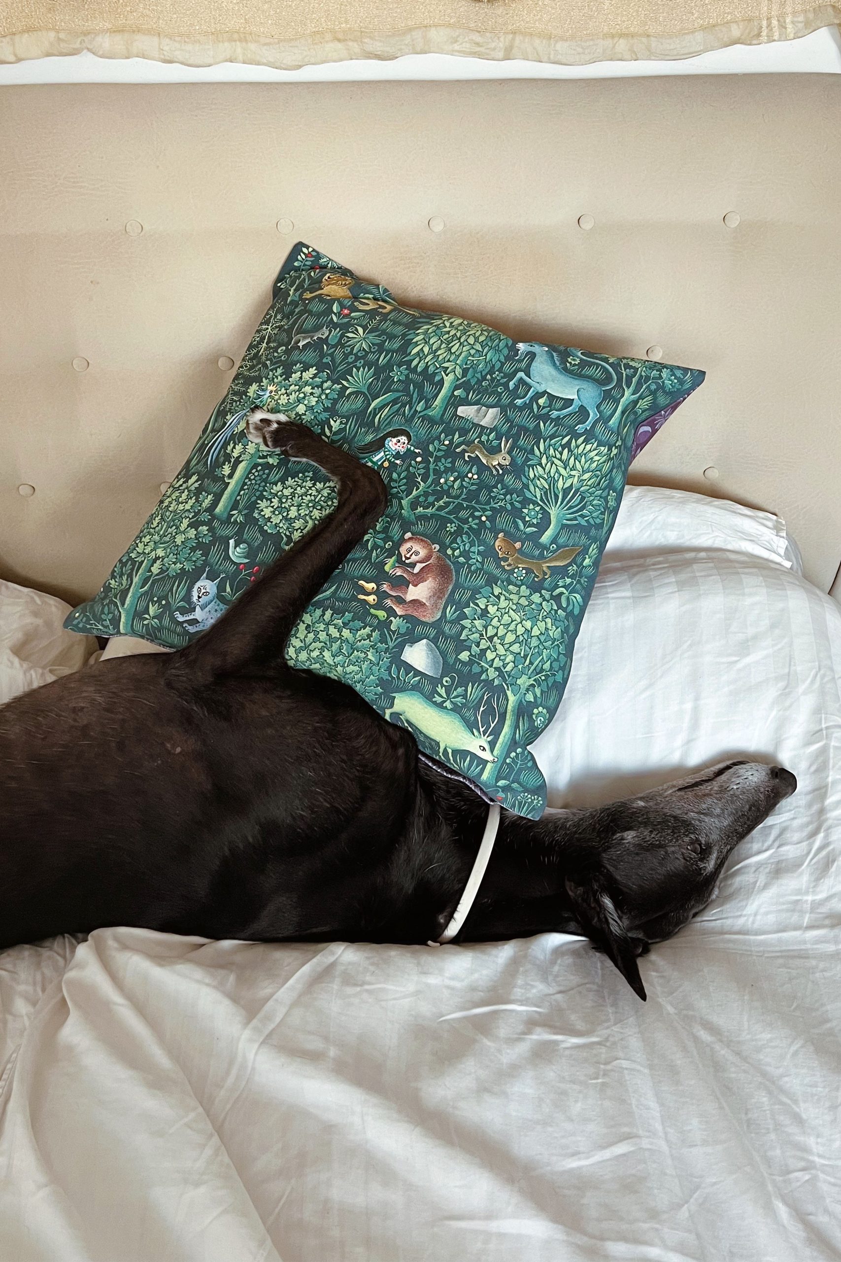 green pillowcase and dog